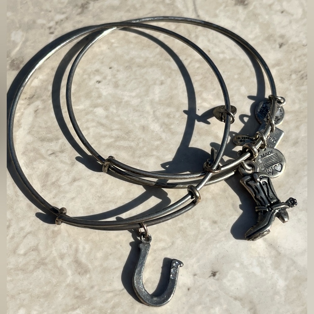Alex and ani cowboy and horseshoe bangle, rare, silver